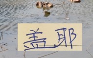 雷竞技官方入口-像一堵墙的盖伊 会是申花的卢卡库 还是升级版马莱莱
