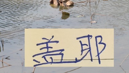 雷竞技官方入口-像一堵墙的盖伊 会是申花的卢卡库 还是升级版马莱莱